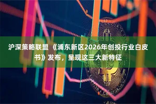 沪深策略联盟 《浦东新区2026年创投行业白皮书》发布，呈现这三大新特征