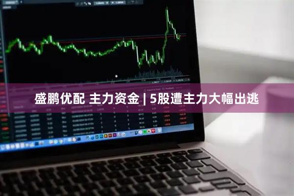 盛鹏优配 主力资金 | 5股遭主力大幅出逃