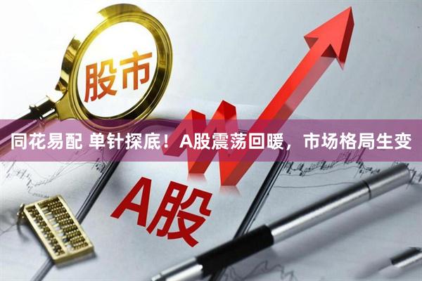 同花易配 单针探底！A股震荡回暖，市场格局生变