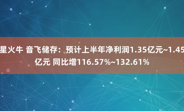 星火牛 音飞储存：预计上半年净利润1.35亿元~1.45亿元 同比增116.57%~132.61%