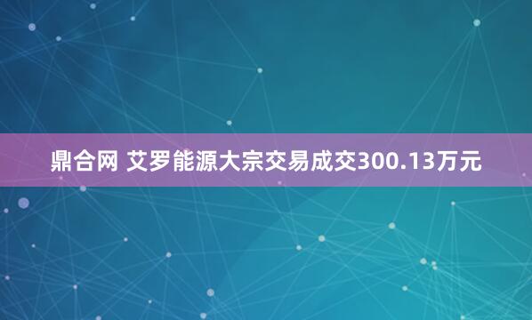 鼎合网 艾罗能源大宗交易成交300.13万元